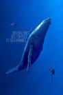 Des baleines, des tortues et des hommes