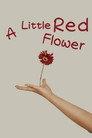 A Little Red Flower