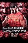 TNA Lockdown 2013